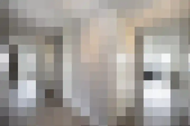 Thorbeckewal 80 Zwolle thumbnail 9