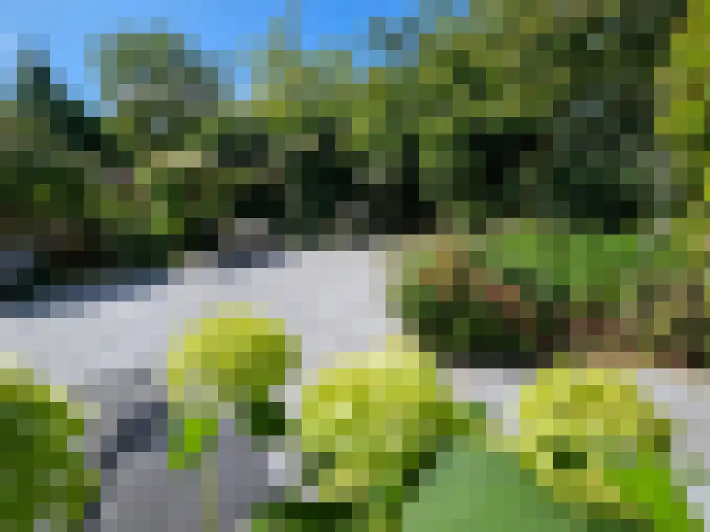 Thorholm 13 Schiedam thumbnail 10