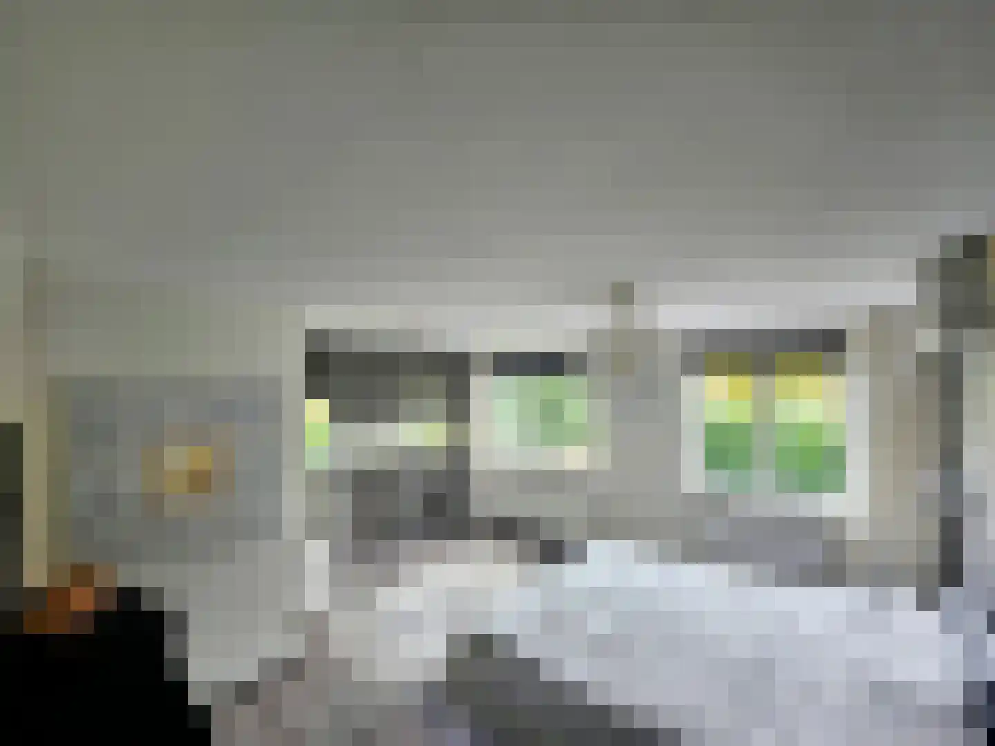 Thorholm 13 Schiedam thumbnail 23