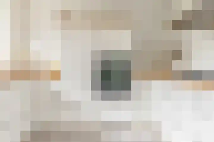 Thornerbeek 23 Tilburg thumbnail 13