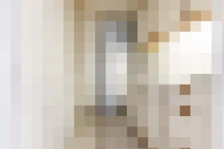 Thornerbeek 23 Tilburg thumbnail 19