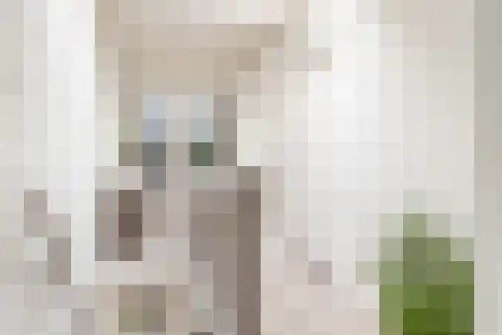Thornerbeek 23 Tilburg thumbnail 20
