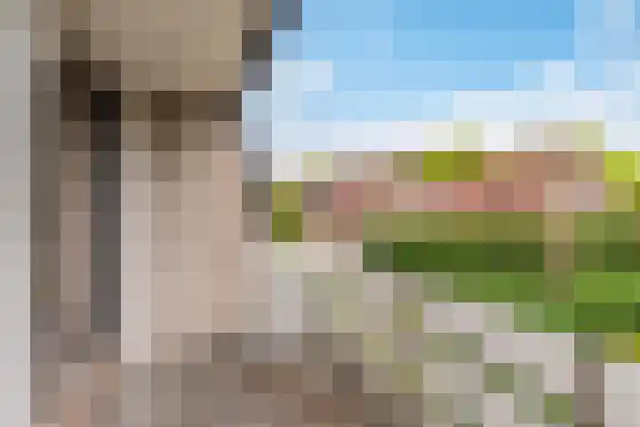 Thornerbeek 23 Tilburg thumbnail 28