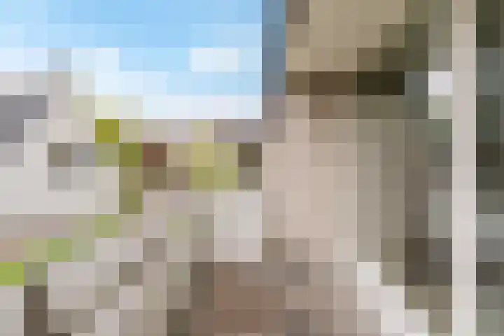 Thornerbeek 23 Tilburg thumbnail 29