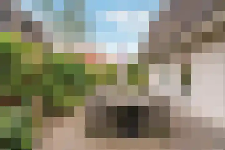 Thornerbeek 23 Tilburg thumbnail 38