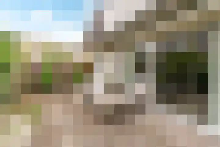 Thornerbeek 23 Tilburg thumbnail 43