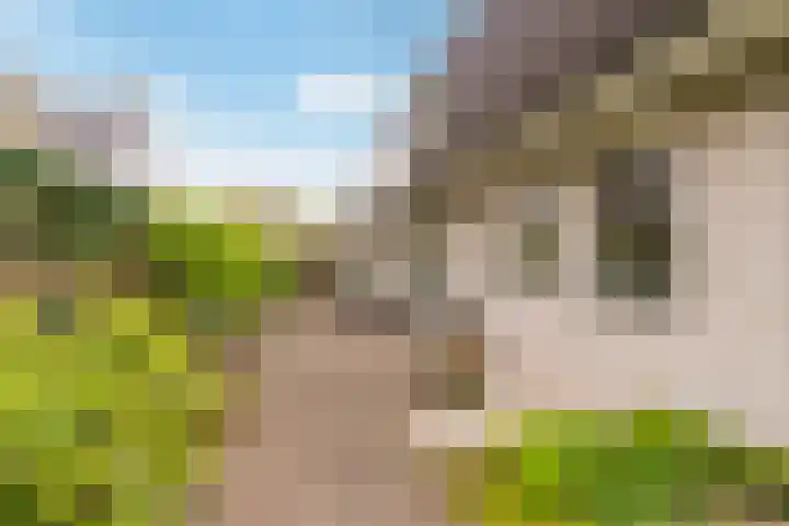 Thornerbeek 23 Tilburg thumbnail 45