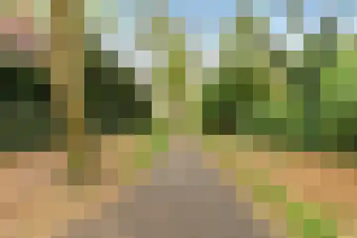 Thornerbeek 23 Tilburg thumbnail 53