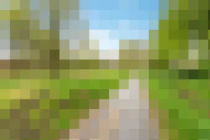 Thornerbeek 23 Tilburg thumbnail 54