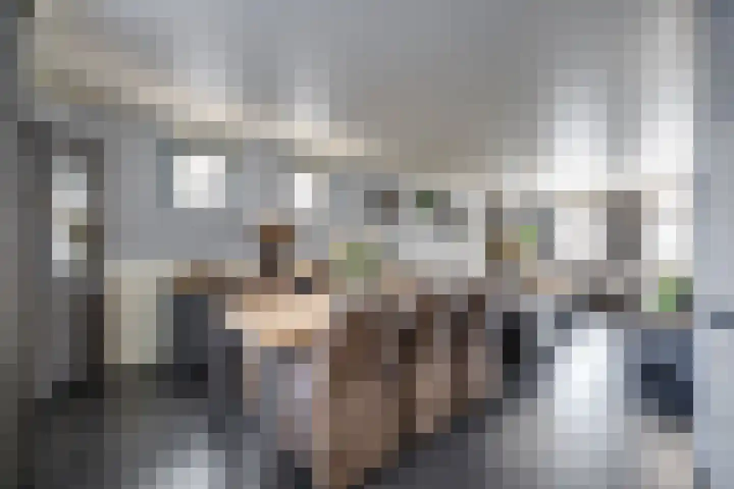 Thornerstraat 11 Sprundel thumbnail 13