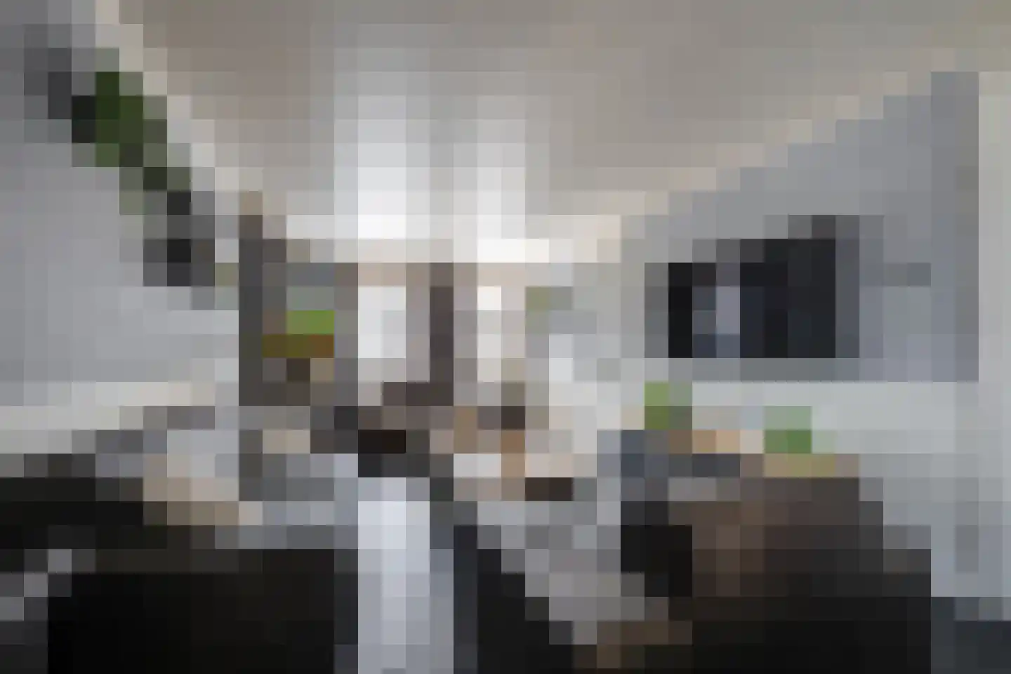 Thornerstraat 11 Sprundel thumbnail 17