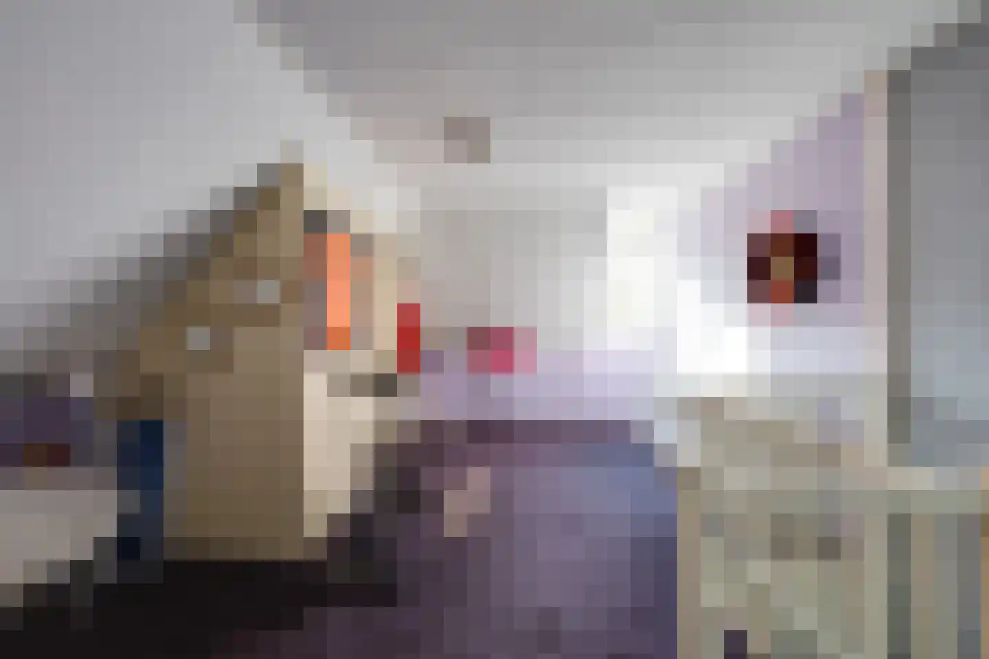 Thornerstraat 11 Sprundel thumbnail 29