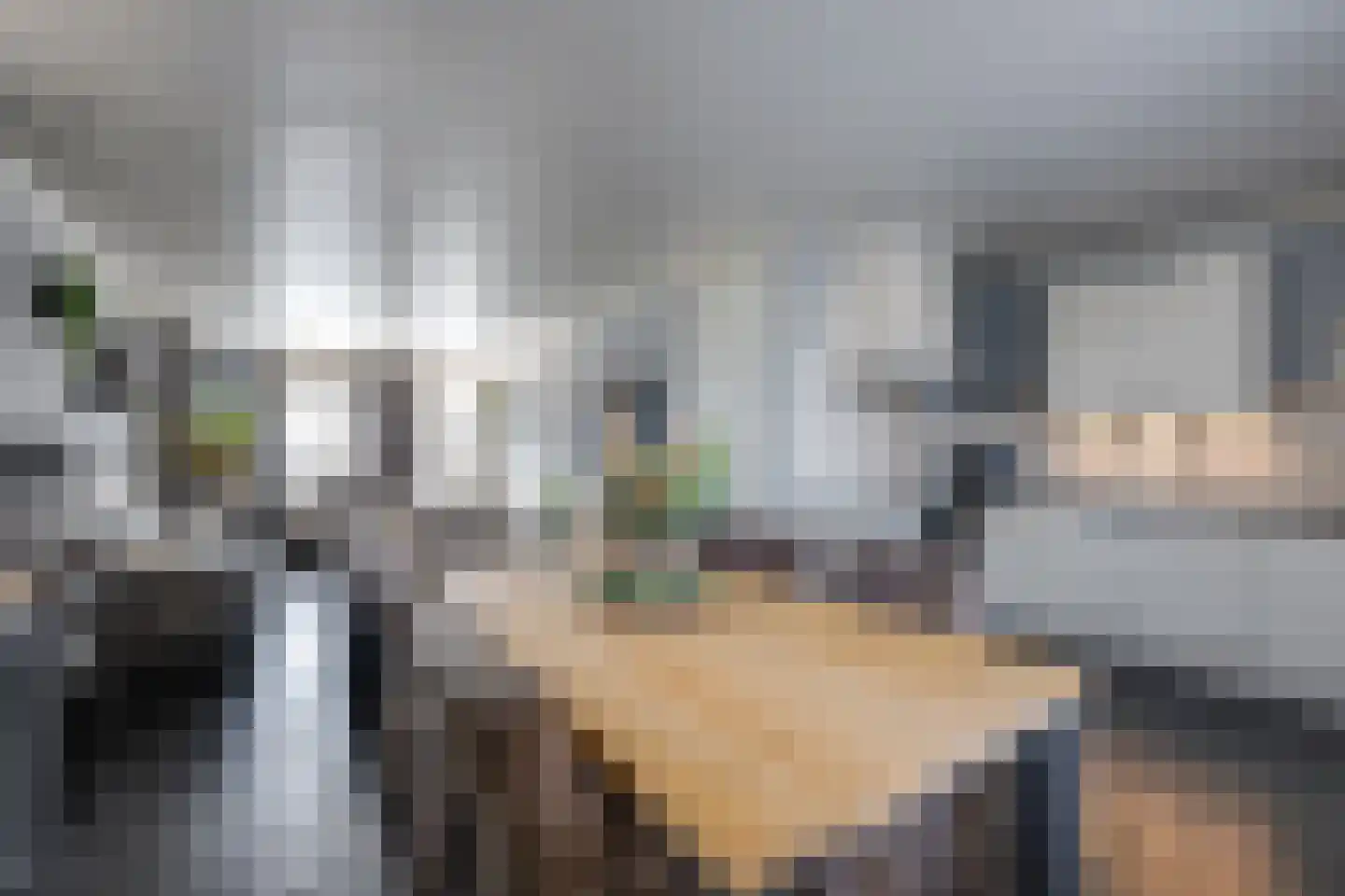 Thornerstraat 11 Sprundel thumbnail 4