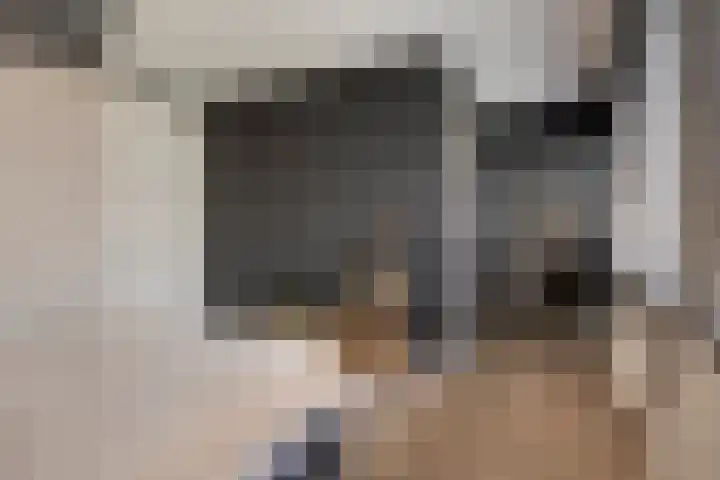 Thornerstraat 12 Sprundel thumbnail 13