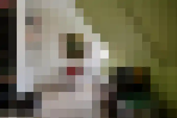 Thornerstraat 12 Sprundel thumbnail 21