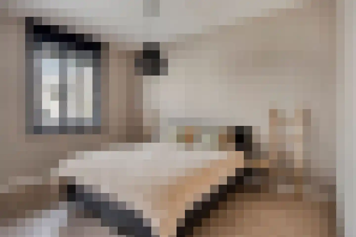 Thornerstraat 12 Sprundel thumbnail 9