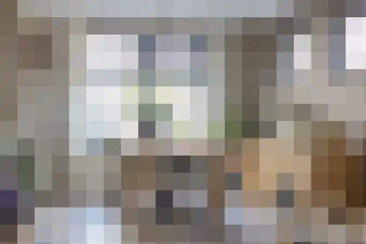 Thornerstraat 2 Sprundel thumbnail 15