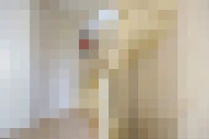 Thornerstraat 2 Sprundel thumbnail 20