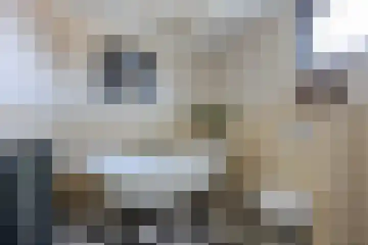 Thornerstraat 2 Sprundel thumbnail 26