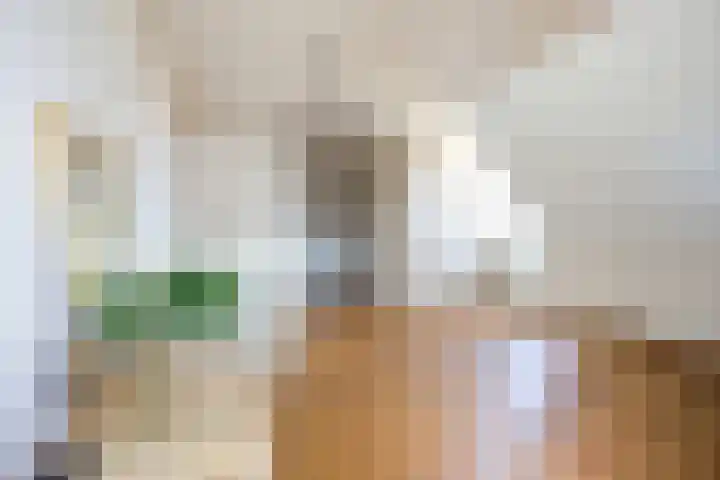 Thornerstraat 2 Sprundel thumbnail 31