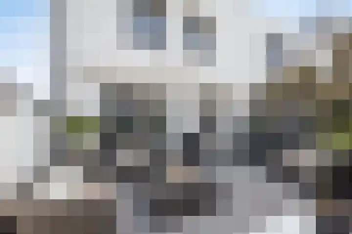 Thornerstraat 2 Sprundel thumbnail 36