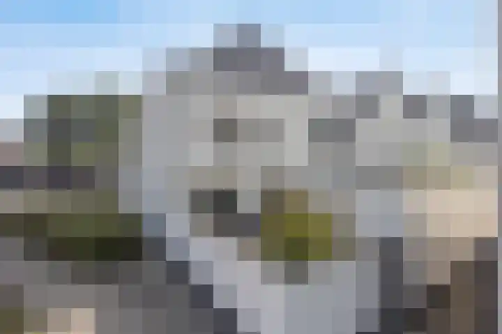 Thornerstraat 2 Sprundel thumbnail 39