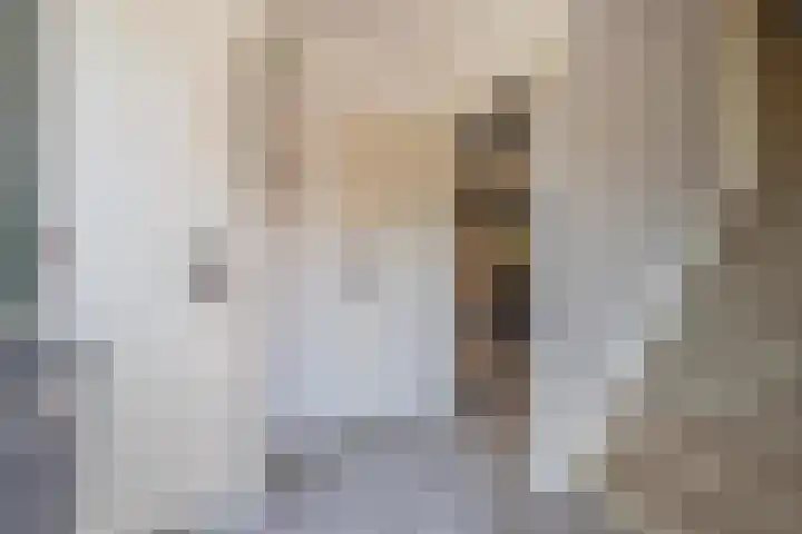 Thornstraat 12 Kerk-Avezaath thumbnail 13