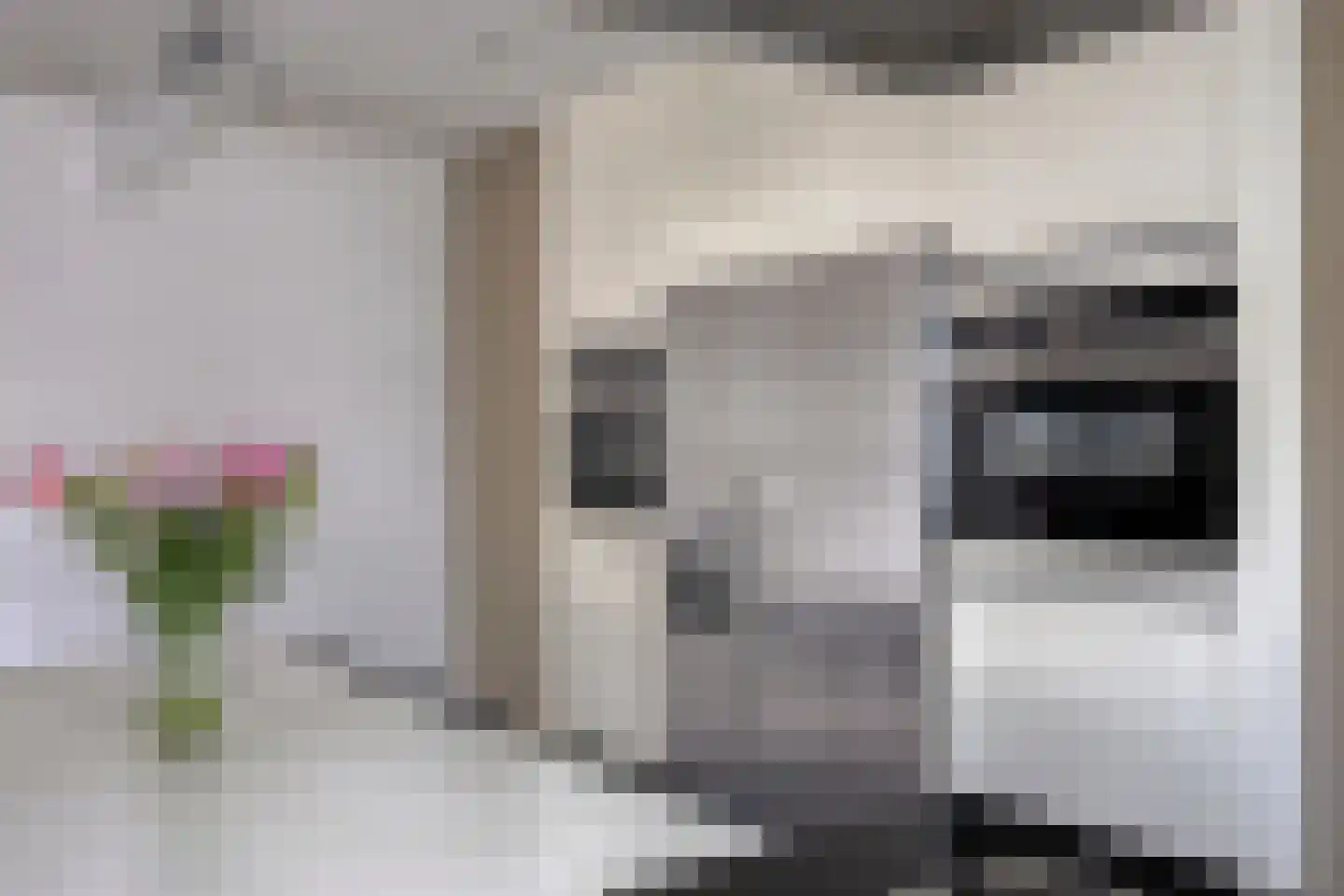 Thornstraat 21 Prinsenbeek thumbnail 15