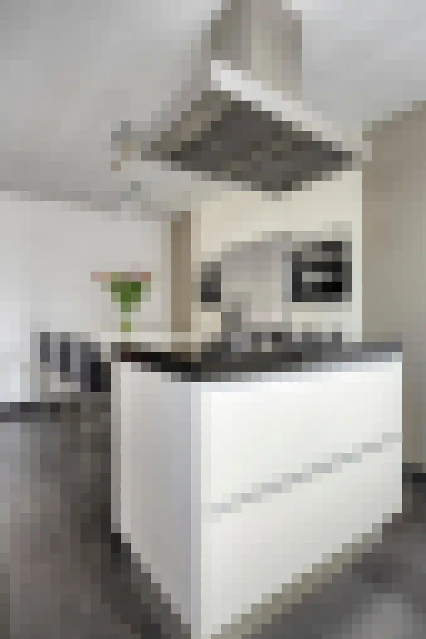Thornstraat 21 Prinsenbeek thumbnail 16