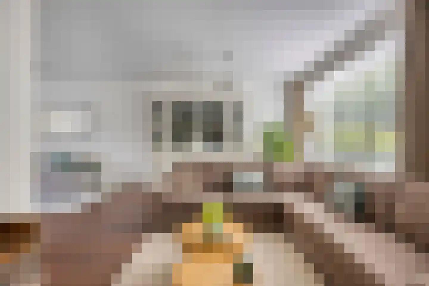 Thornstraat 21 Prinsenbeek thumbnail 8