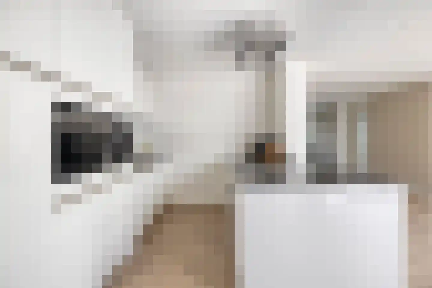 Thornstraat 26 Prinsenbeek thumbnail 16