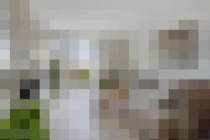 Thorstraat 24 Almere thumbnail 7