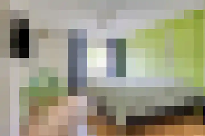 Thuishaven 15 Amstelveen thumbnail 12