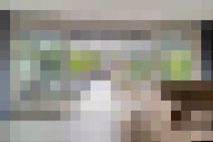 Thuishaven 15 Amstelveen thumbnail 9