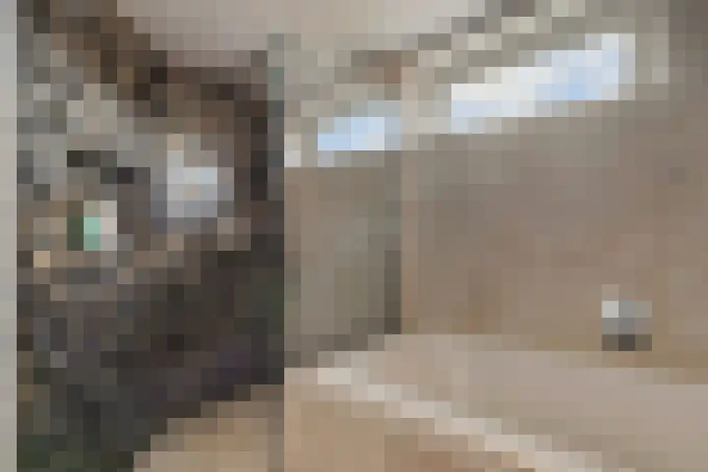 Thuishaven 2 Huissen thumbnail 16