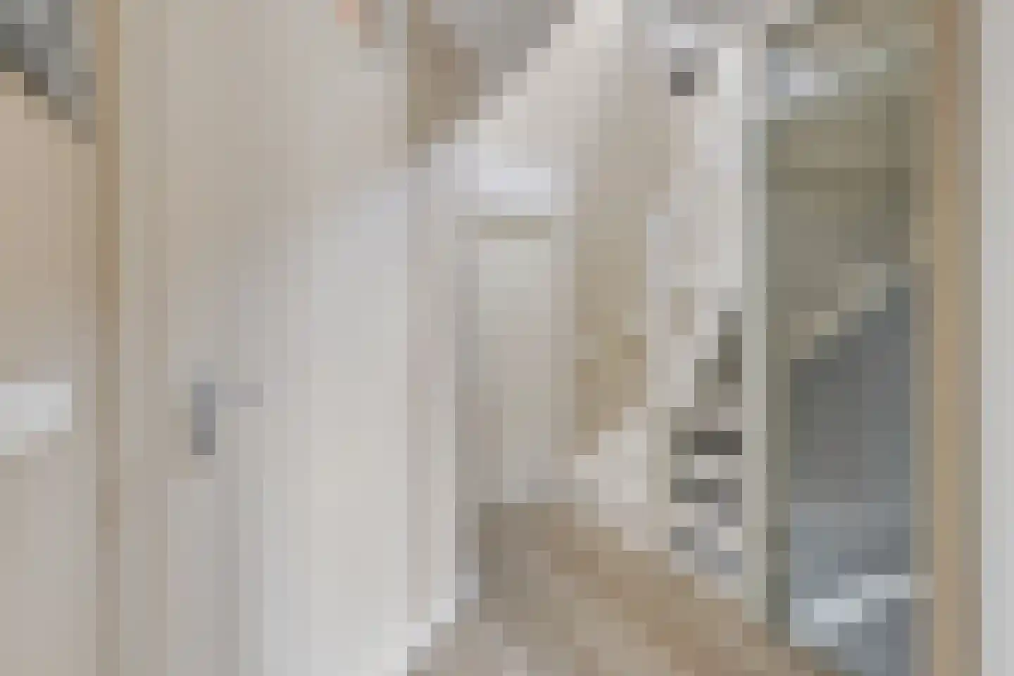 Thuishaven 2 Huissen thumbnail 19