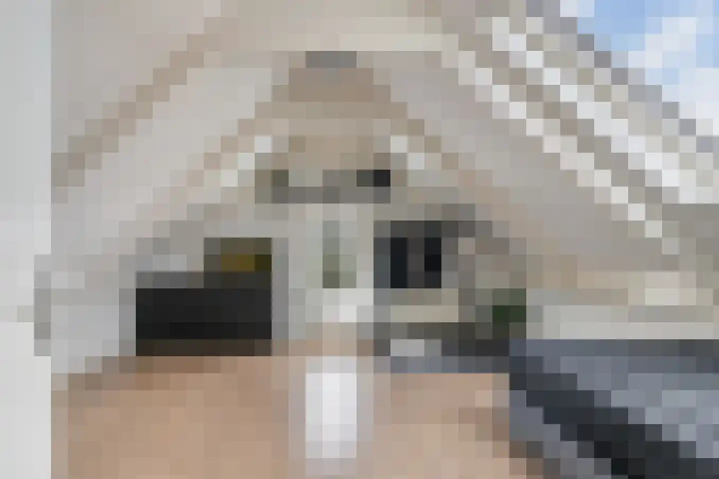 Thuishaven 2 Huissen thumbnail 23