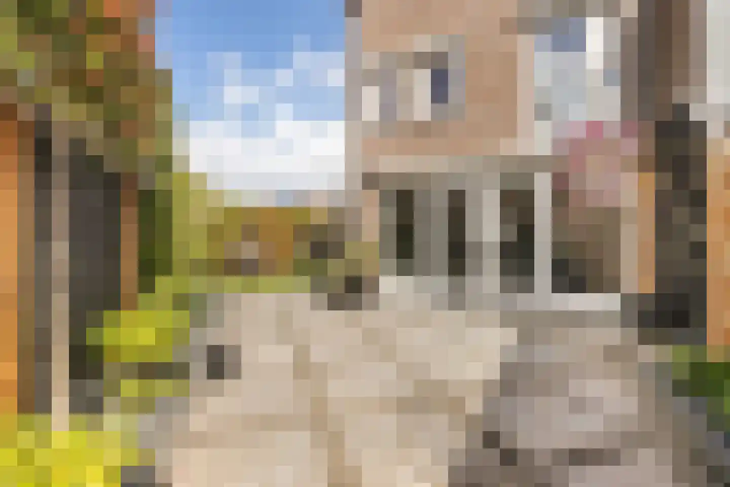 Thuishaven 2 Huissen foto 3
