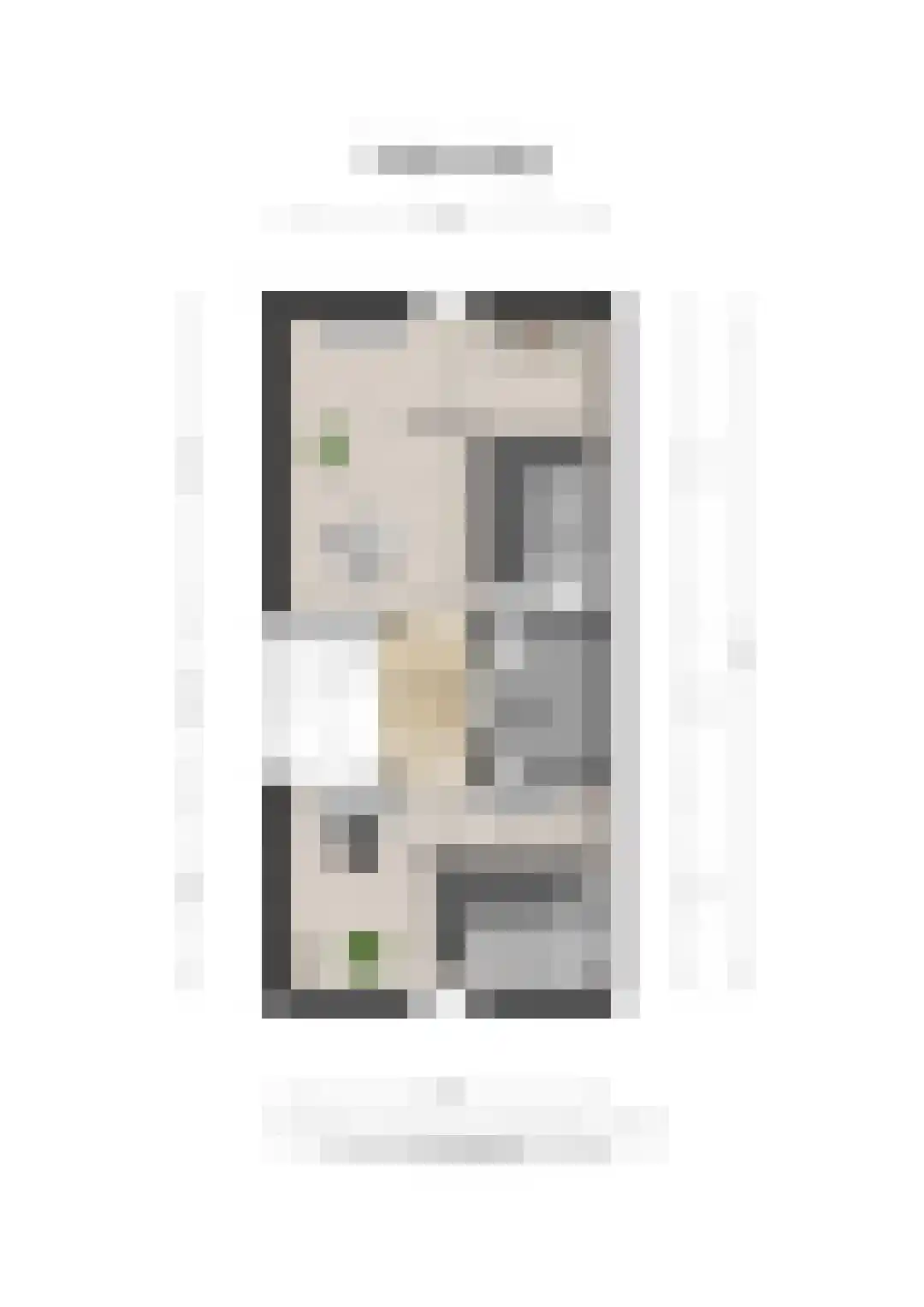Thuishaven 2 Huissen thumbnail 36