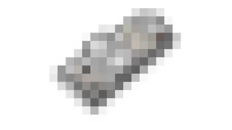 Thuishaven 2 Huissen thumbnail 38