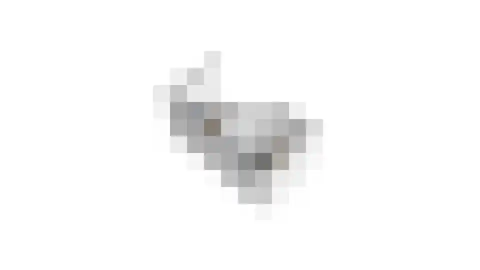 Thuishaven 2 Huissen thumbnail 40