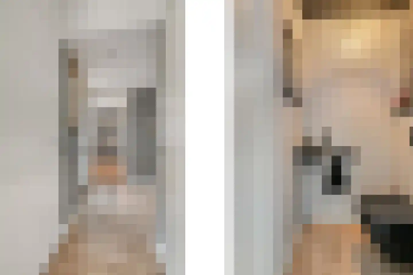 Thuishaven 2 Huissen thumbnail 6