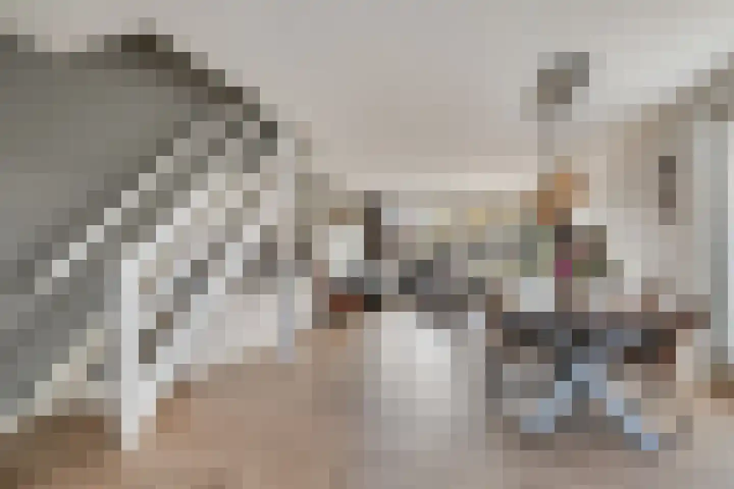 Thuishaven 2 Huissen thumbnail 8