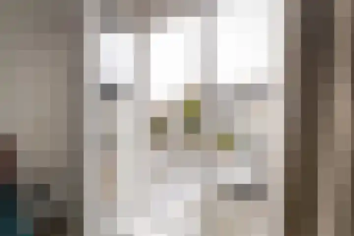 Thuishaven 41 Amstelveen thumbnail 23