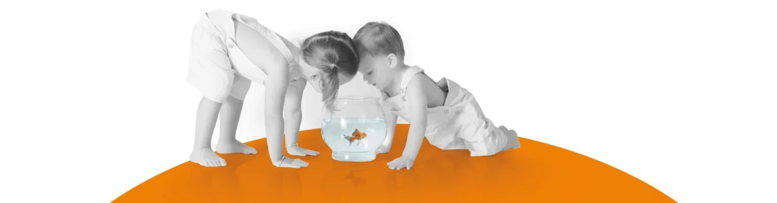 Team foto van Thuisinwoningen.nl