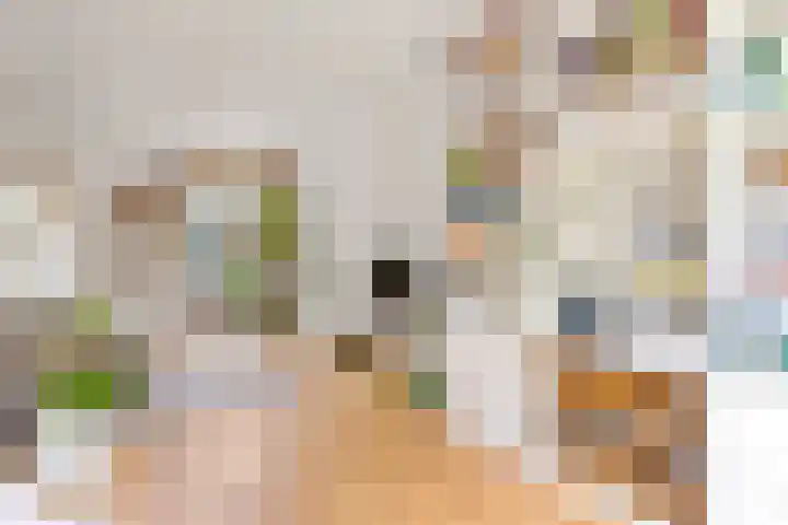 Screenshot der Website von www.thuismakelaar.nl