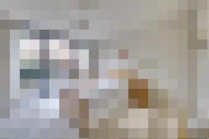 Thujapark 18 Beuningen Gld thumbnail 18