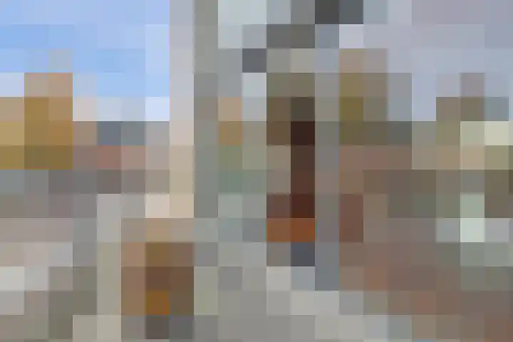 Thujapark 18 Beuningen Gld thumbnail 29
