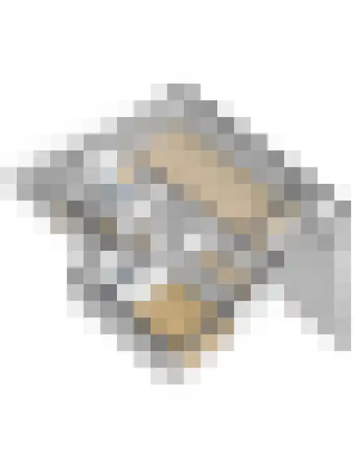 Thujapark 18 Beuningen Gld thumbnail 41