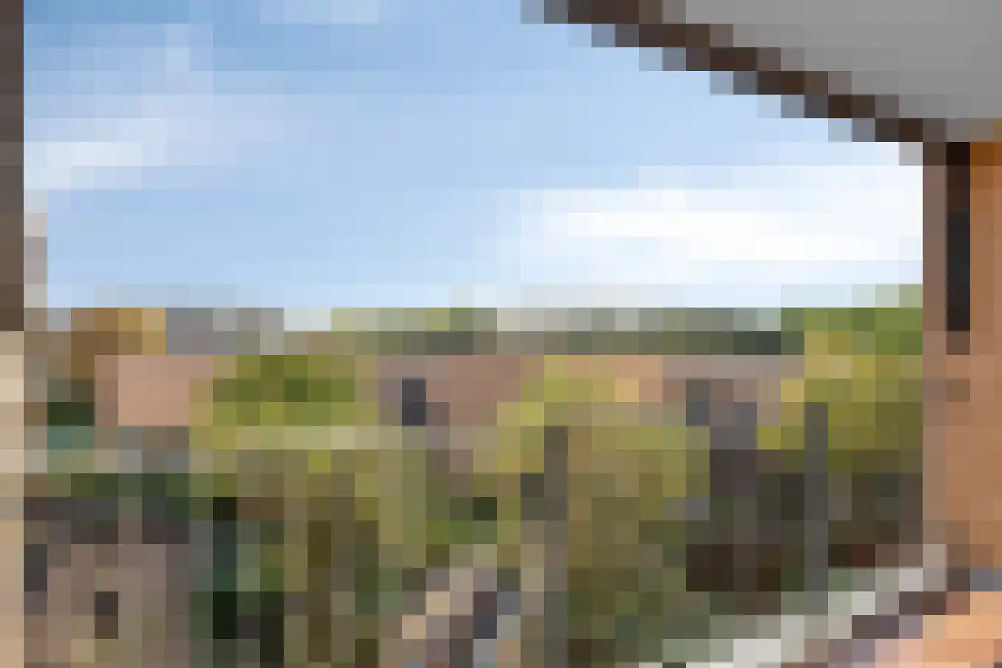 Thujapark 26 Beuningen Gld thumbnail 19